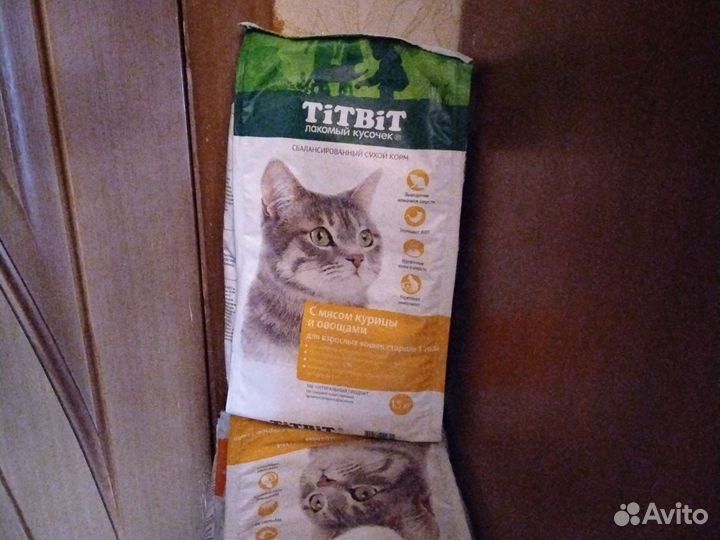 Сухой корм для кошек