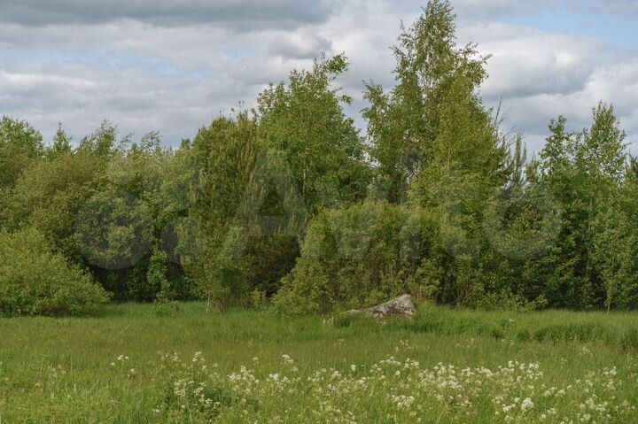 Участок 8 сот. (СНТ, ДНП)