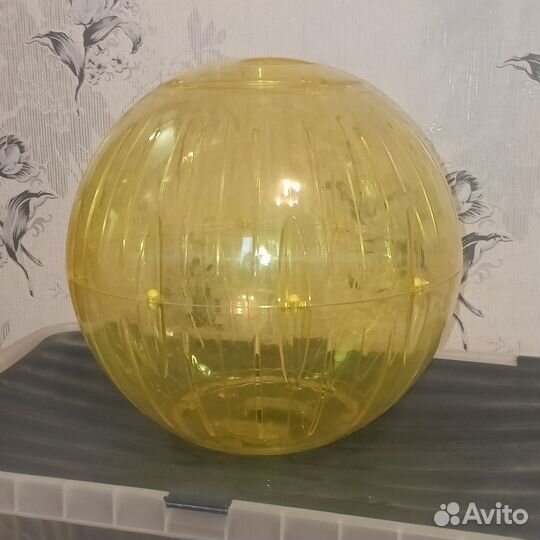 Шар прогулочный для грызунов, 30 см