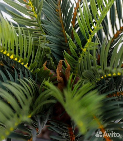 Искуственные пальмы для декора дома, офиса