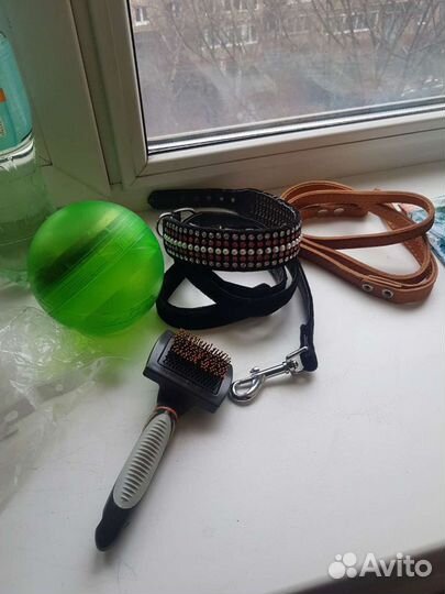 Для собачки