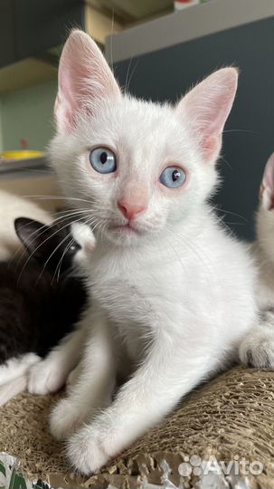 Мальчик с грустным лицом