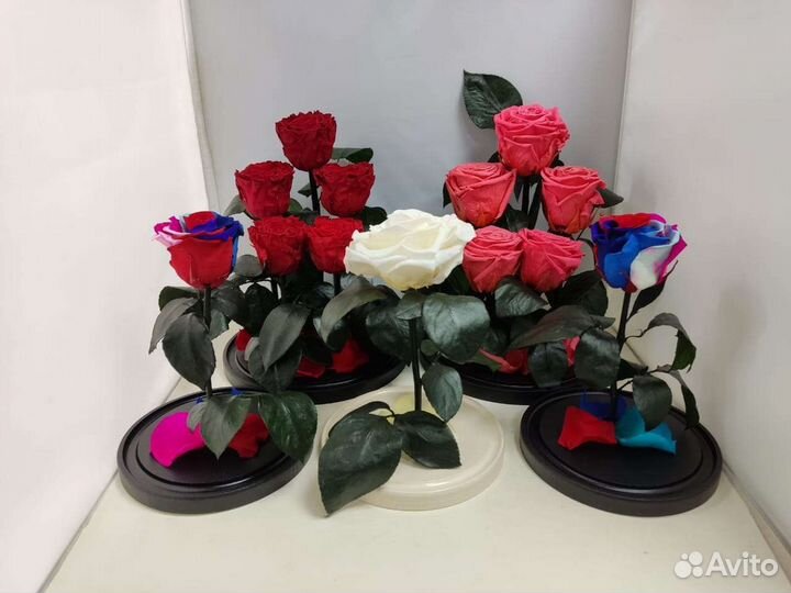 Роза в колбе оптом