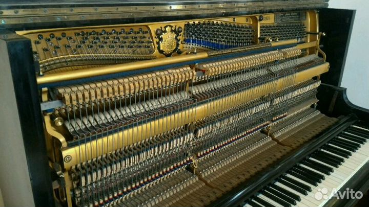 Настройщик фортепиано (пианино). Настройка пианино