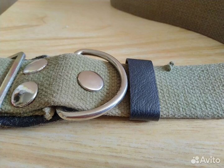 Ошейник для собак