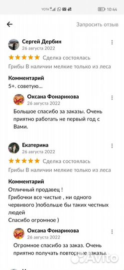Свежие грибы