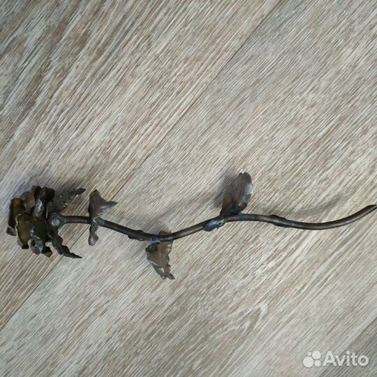 Роза