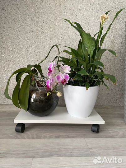 Подставка прямоугольна для PC или цветов