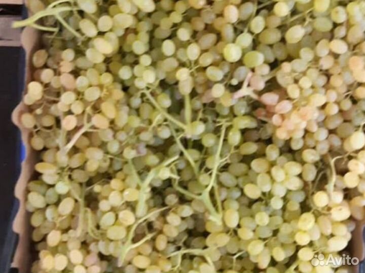 Фрукты, овощи, орехи, сухофрукты оптом и в розницу