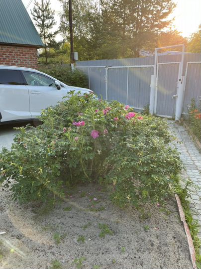 Дом 120 м² на участке 14 сот.