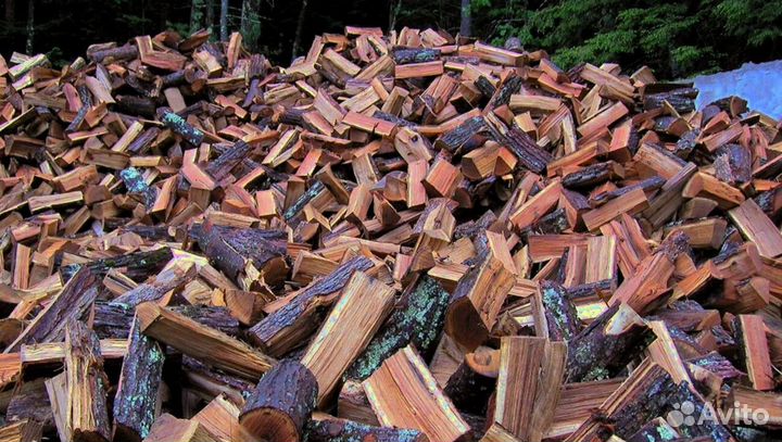 Осиновые дрова