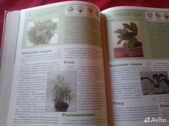 Комнатные растения (книга)