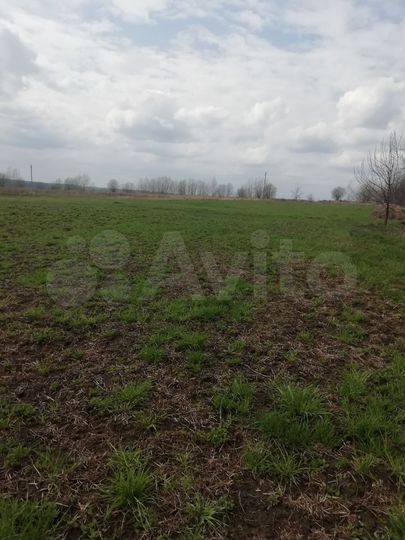 Участок 60 сот. (СНТ, ДНП)