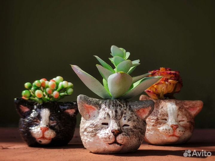 Кот кашпо по фото на заказ