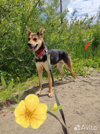 Сестрёнки с приюта