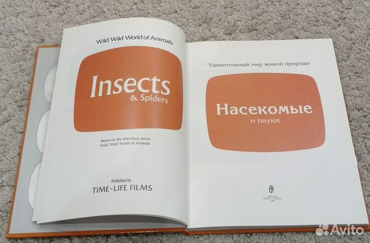 Насекомые и Пауки: энциклопедия. Фотографии