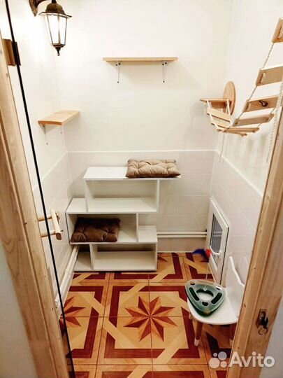 Зоогостиница гостиница для кошек и собак