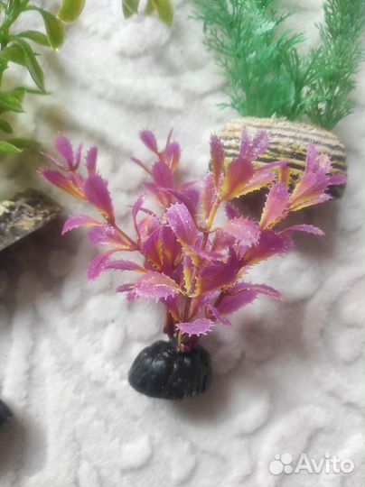 Растения для аквариума искусственные