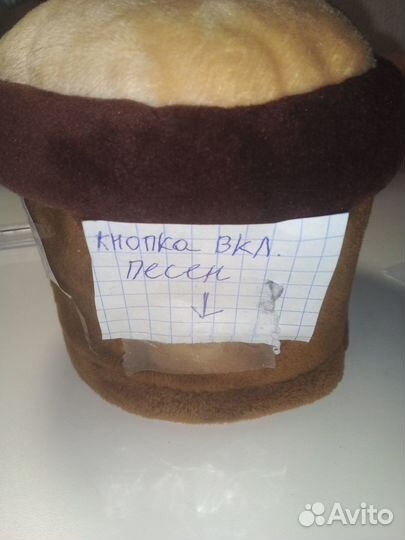 Поющий кактус