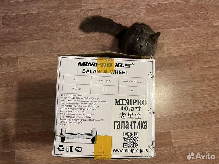 Гироскутер сигвей minipro 10,5