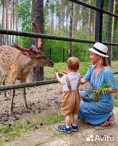 Билеты и путешествия