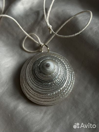 Ракушка трохус конус