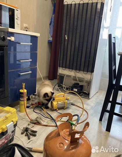 Ремонт стиральных машин, холодильников, посудомоек