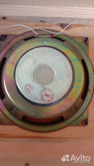 Динамик 10 гдш-2 4 Ом