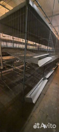 Клетки для кур
