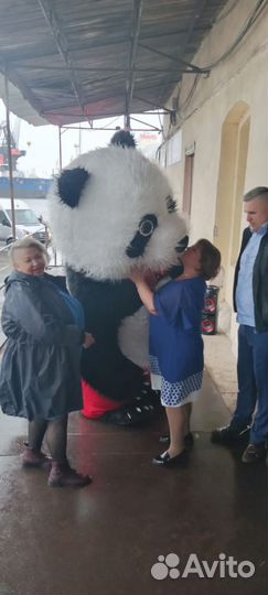 Аниматор. Белый Мишка