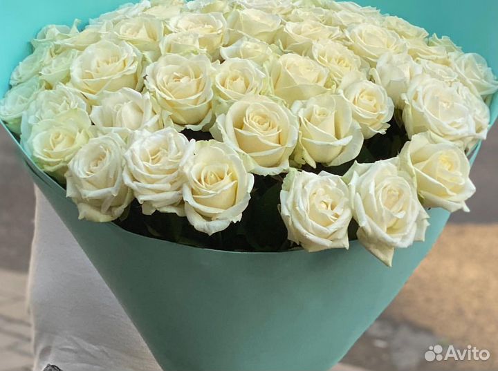 101 роза 51 31 25 Роза Цветы доставка