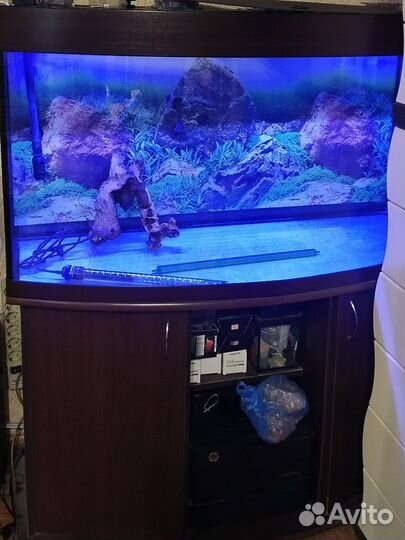 Аквариум с тумбой 300 литров