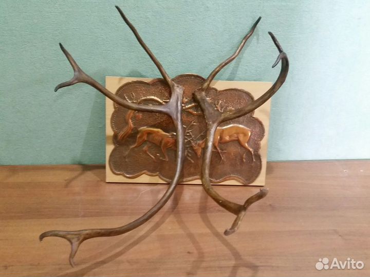 Рога оленьи