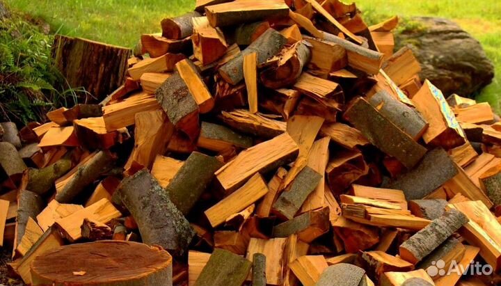 Дрова без жучков