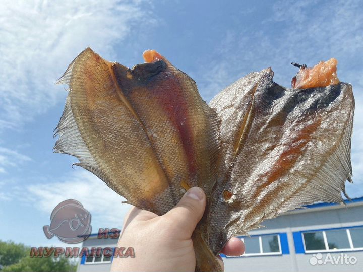 Ерш Мурманский