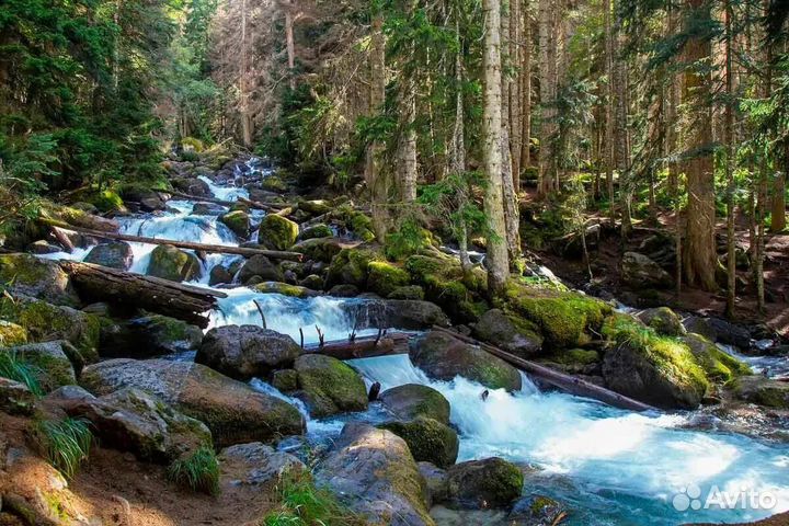 Экскурсия в Домбай