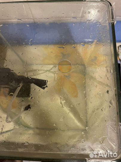 Аквариум террариум