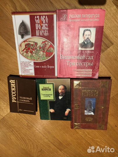 Книги по школьной литературе