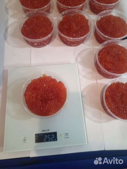 Красная икра горбуши 2023 год