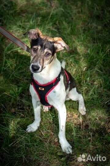 Майкл 8 месяцев мечтает о доме