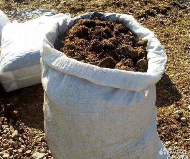 Навоз, перегной, земля, куриный навоз, коный