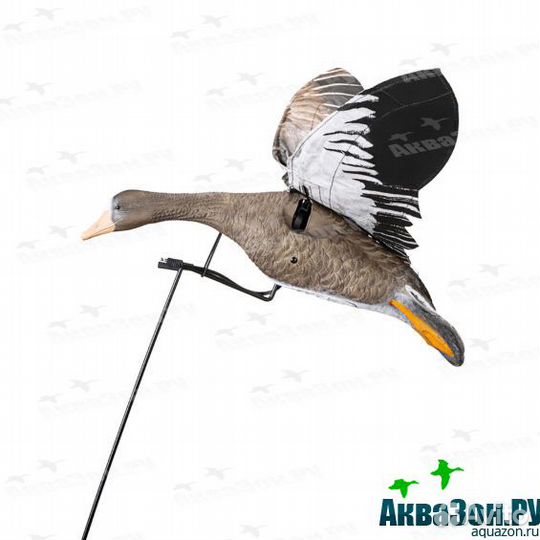 Махокрыл белолобик Duck Mania
