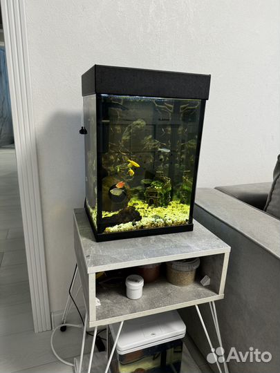 Аквариум с рыбками