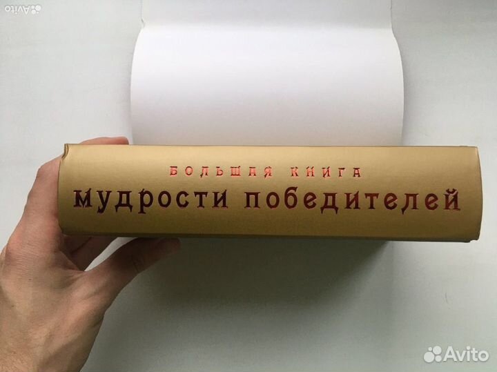 Большая книга мудрости победителей