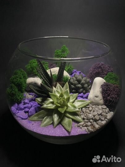 Флорариум лаванда