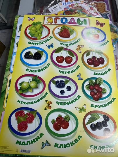 Образовательные плакаты