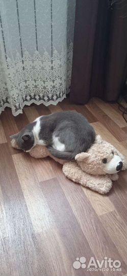 Видеонаблюдение