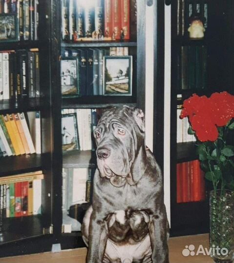 Отдам в хорошие руки мебель