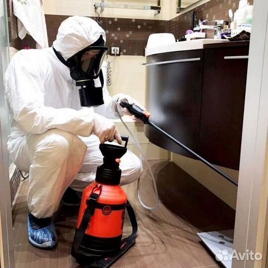 Средство для Уничтожения клопов травля тараканов дезинфекции