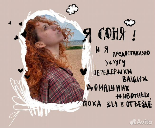 Передержка домашних животных